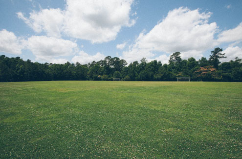 large field with hydroseeding